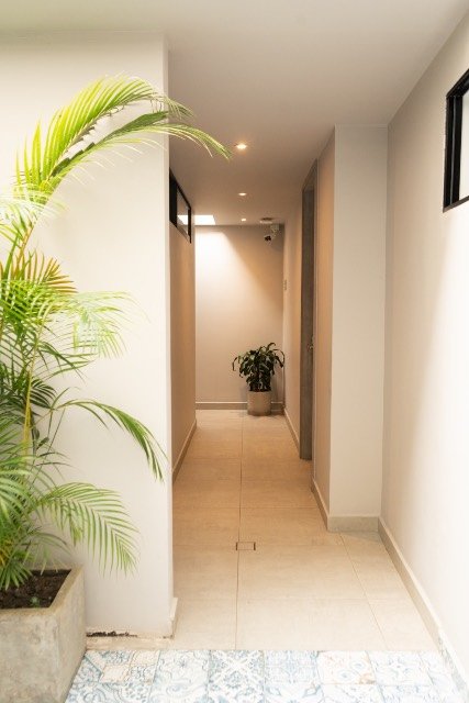 Plant-lined corridor with palms inside the hotel